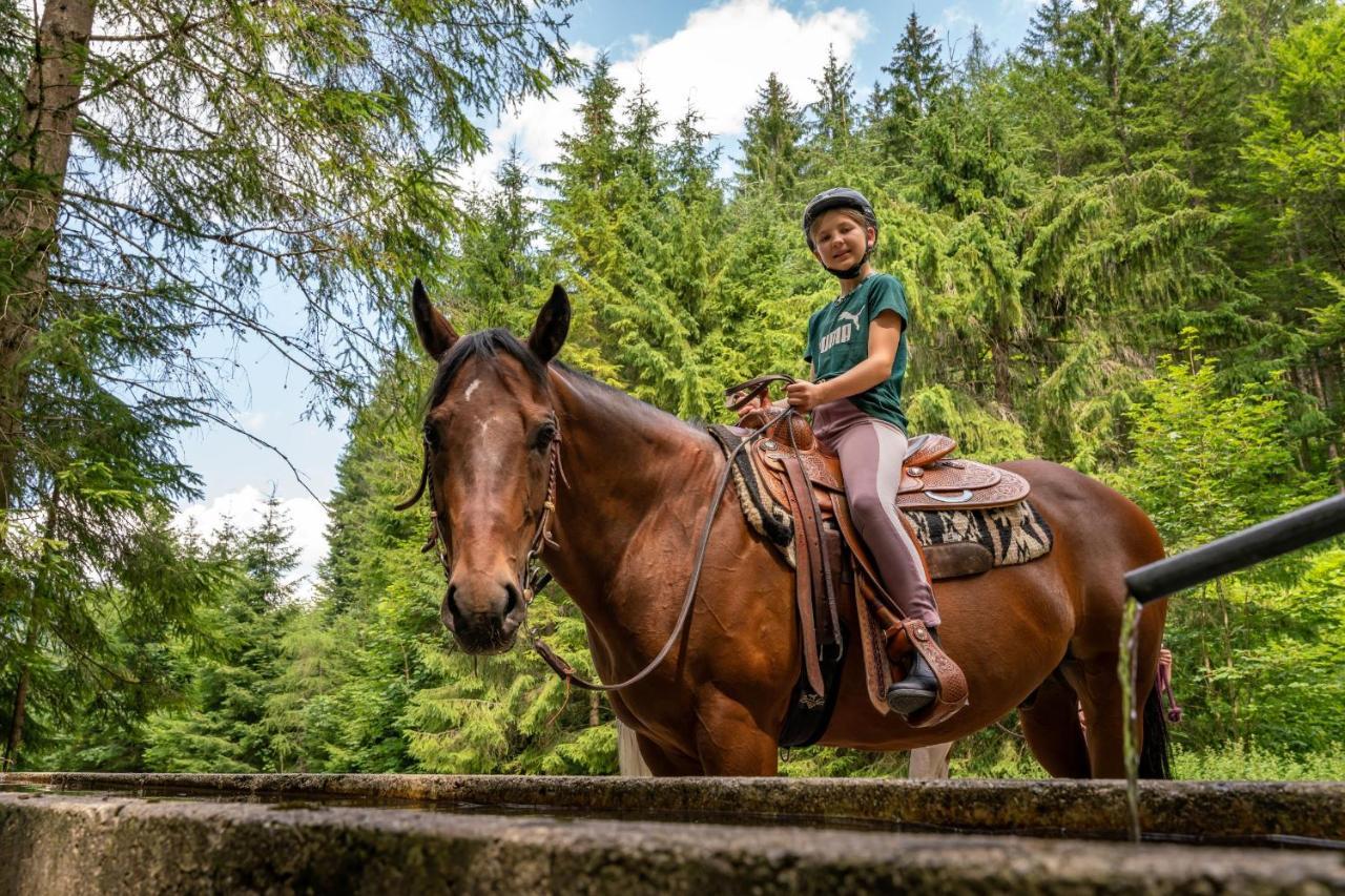 Apart Garni Montana Pertisau Zewnętrze zdjęcie