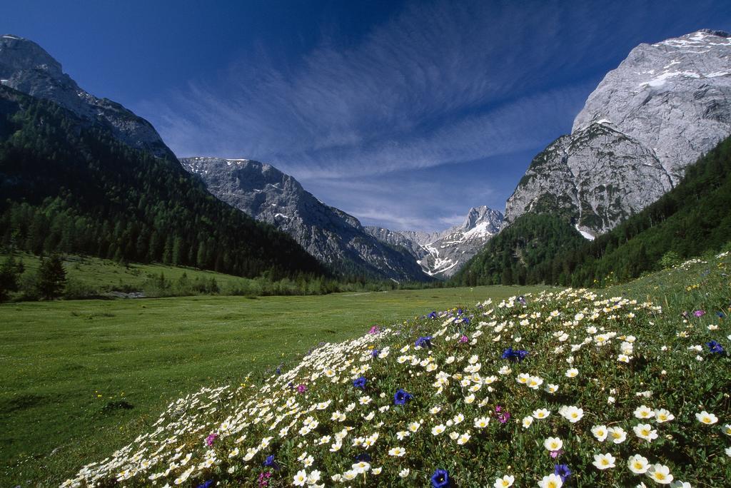 Apart Garni Montana Pertisau Zewnętrze zdjęcie